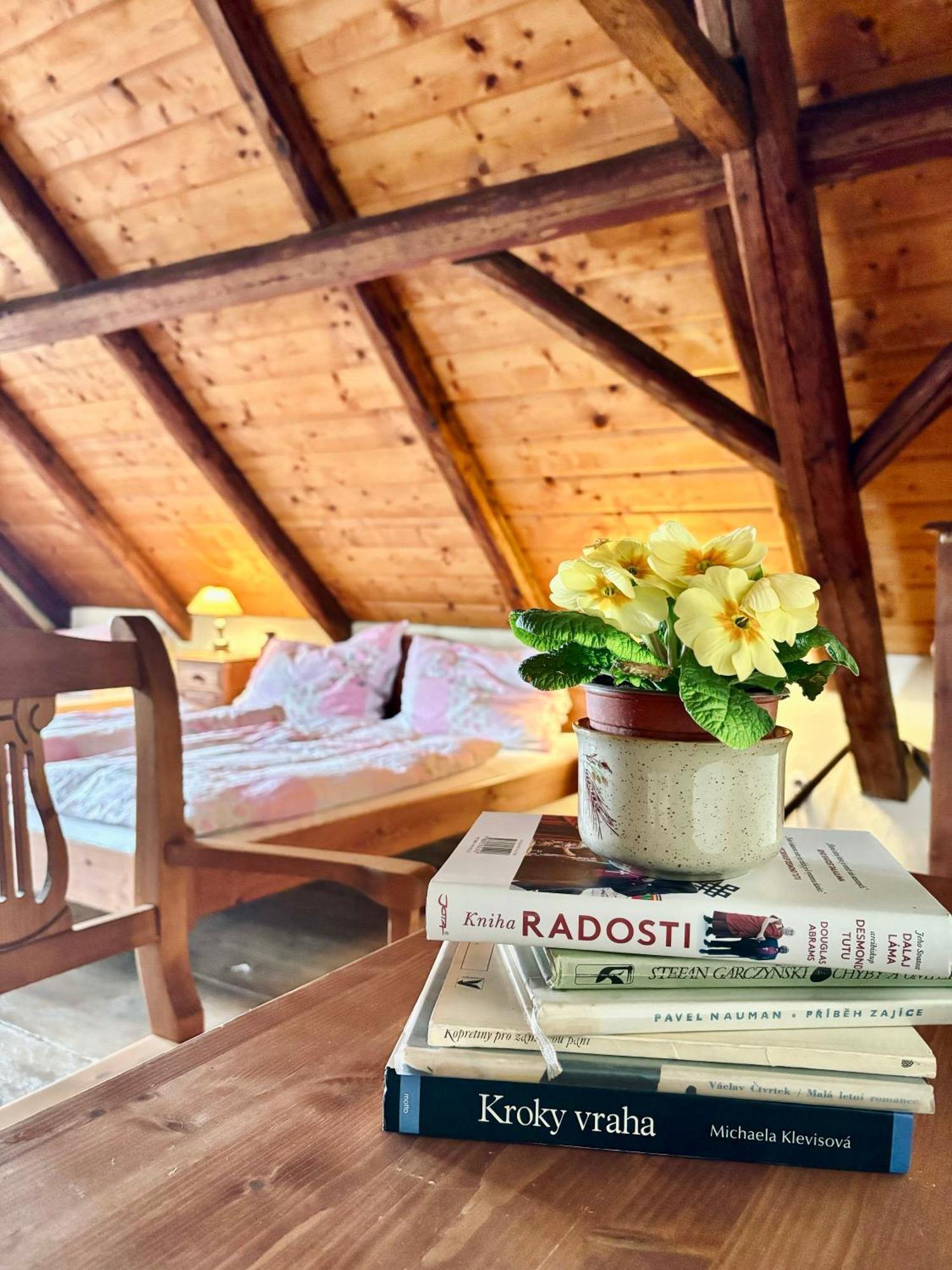 Apartmany Penzion Katerina Nadejkov Экстерьер фото
