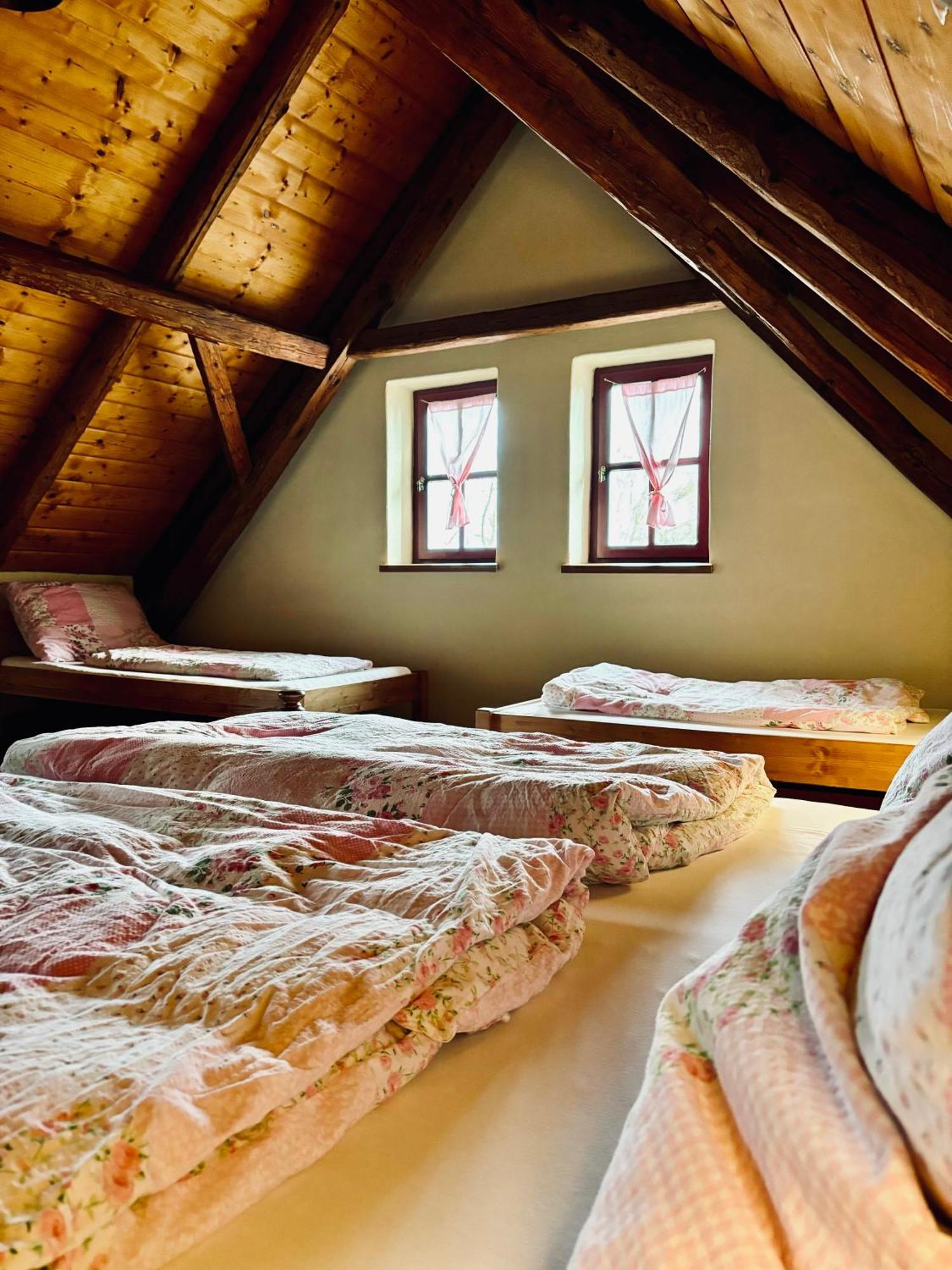 Apartmany Penzion Katerina Nadejkov Экстерьер фото